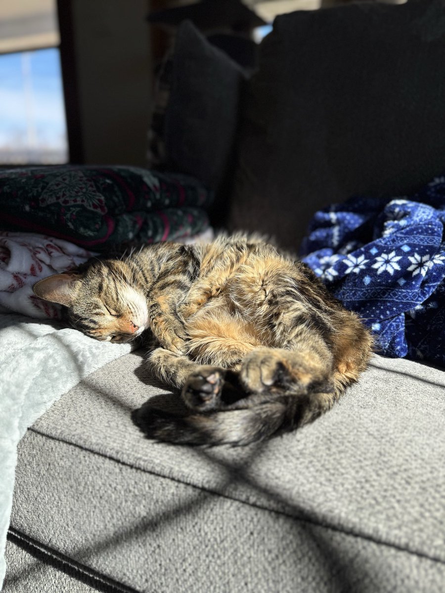 kelrogers11's tweet photo. She’s baby https://t.co/2b33Fd3XDh