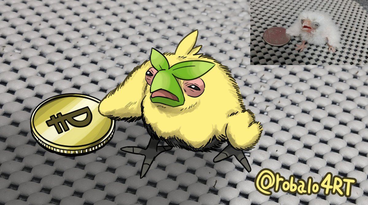 🐟robalo🐟 tweet media