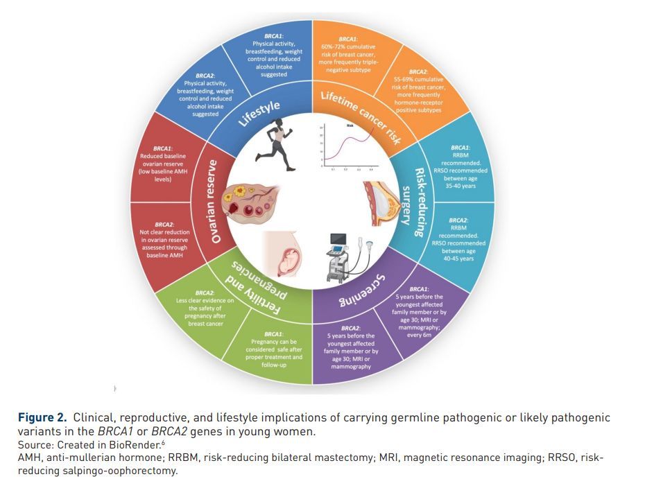 Therapeutic Advances in Medical Oncology tweet media