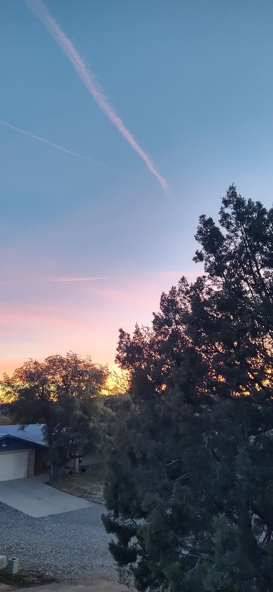 AudreySemprun's tweet image. On an endless #quest for relevance and purpose a person might forget to remember themselves 

Might forget to smell the flowers

Might forget to breathe 

Might forget that their opinion matters and forget to remember that the only one who really knows me is me. 

#vss365