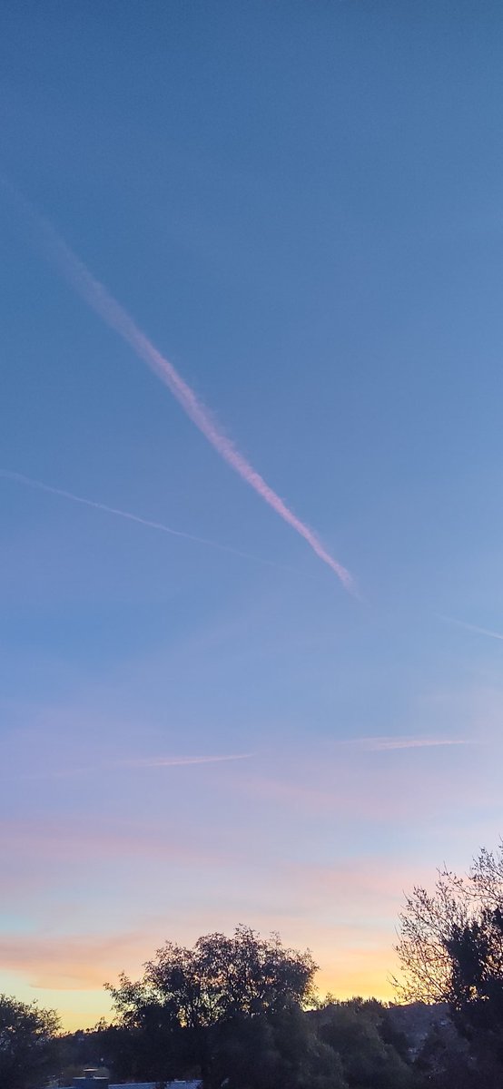 AudreySemprun's tweet image. On an endless #quest for relevance and purpose a person might forget to remember themselves 

Might forget to smell the flowers

Might forget to breathe 

Might forget that their opinion matters and forget to remember that the only one who really knows me is me. 

#vss365