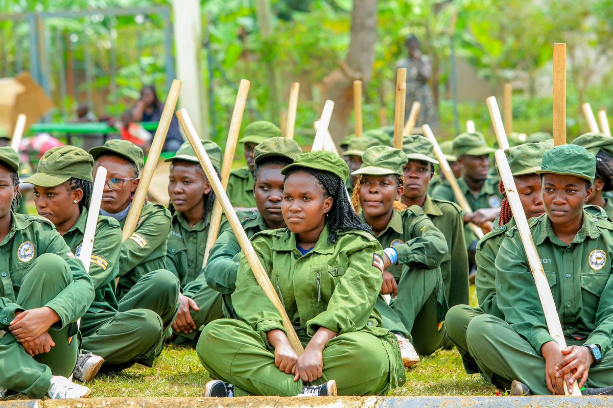 Commissioner Hellen@ tweet media