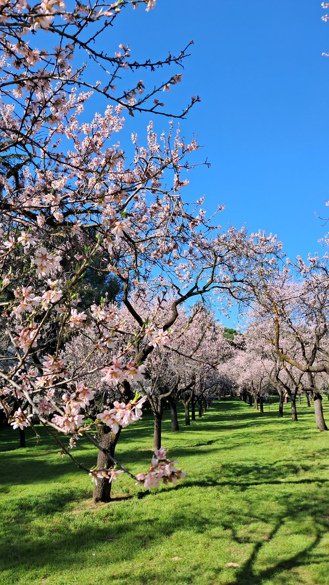 Bobin'St tweet media