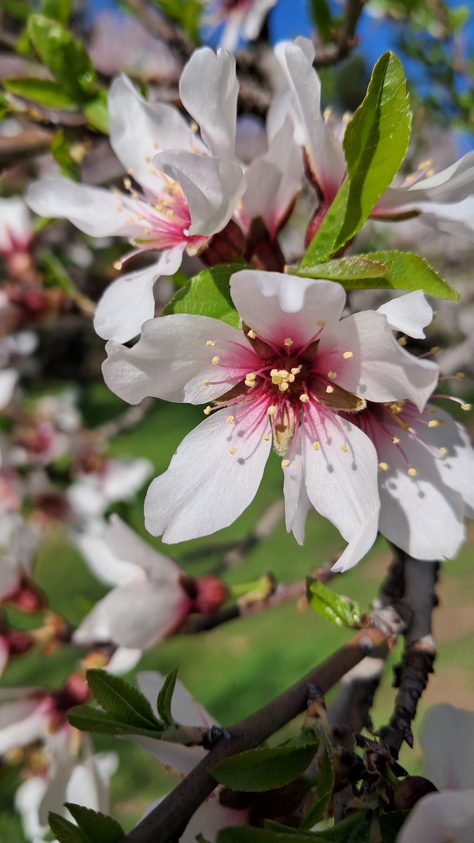 Bobin'St tweet media