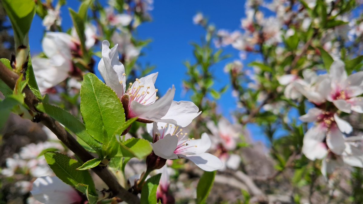 Bobin'St tweet media