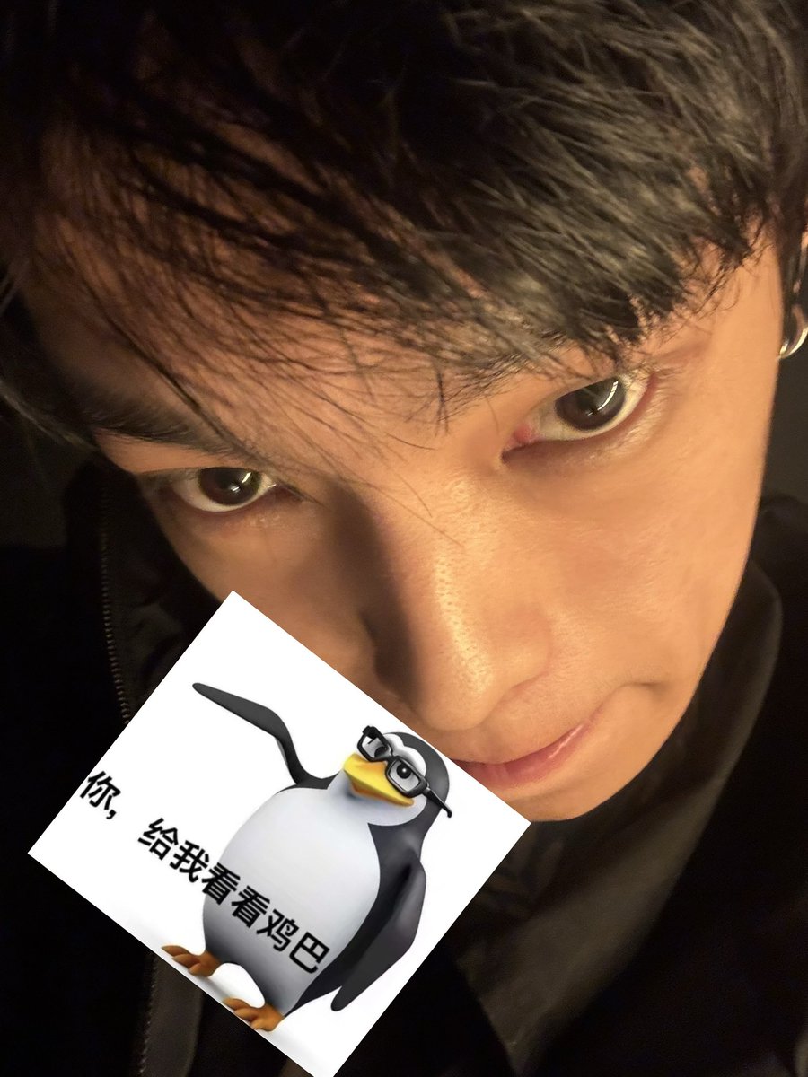 马子丨郑州 tweet media