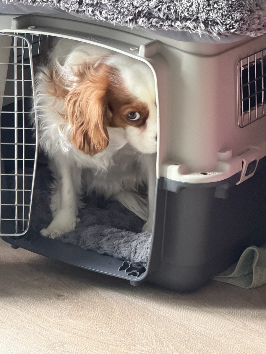 Beaver Cleaver tweet media