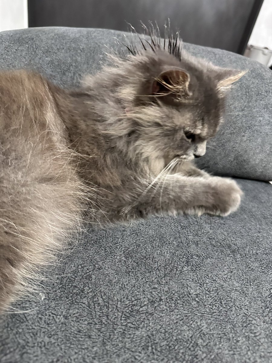 mugu ⛅💤 tweet media