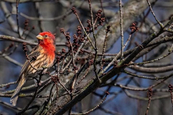 ☾ ✩⁺Sammy Rose Photography✩⁺ ☽ tweet media