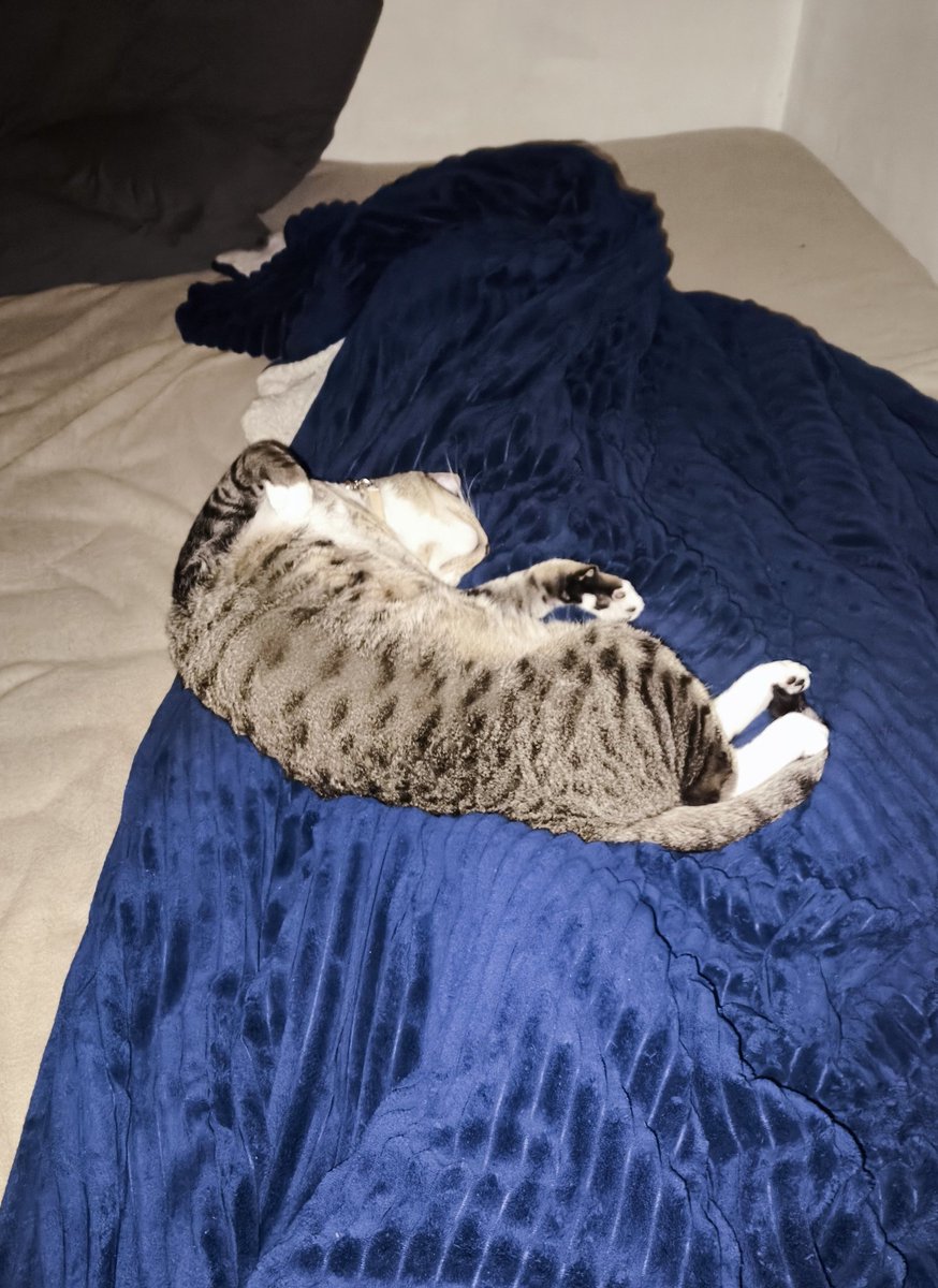 caiocastropobre tweet media