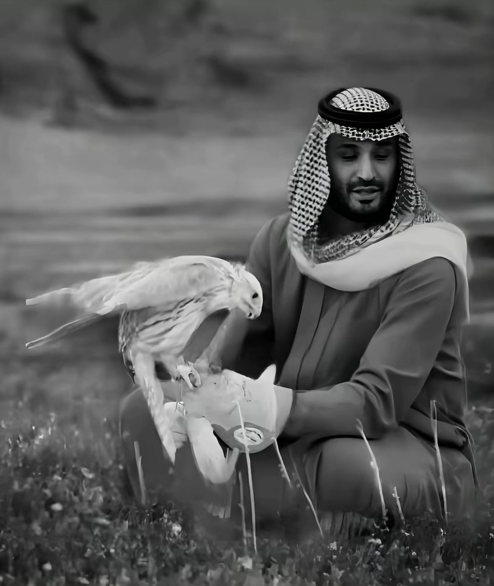 vvnnql's tweet photo. #الحرب_العالميه_الثالثه الله يعزه مافيه خوف على السعودين دام ذا الانسان عايش ❣️ https://t.co/VGiQPHa6EC
