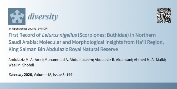 q__3w's tweet photo. الحمد لله، أُعلن نشر بحثي العلمي عن أول تسجيل للعقرب Leiurus nigellus في شمال السعودية، بالاعتماد على الأدلة المورفولوجية والتحليل الجزيئي، بما يعزز المعرفة بالتنوع الأحيائي وتوثيق الأنواع في البيئات الصحراوية.

للاطلاع ��لى البحث كاملاً، يمكنكم مسح الباركود المرفق. https://t.co/8CHFqkso8T