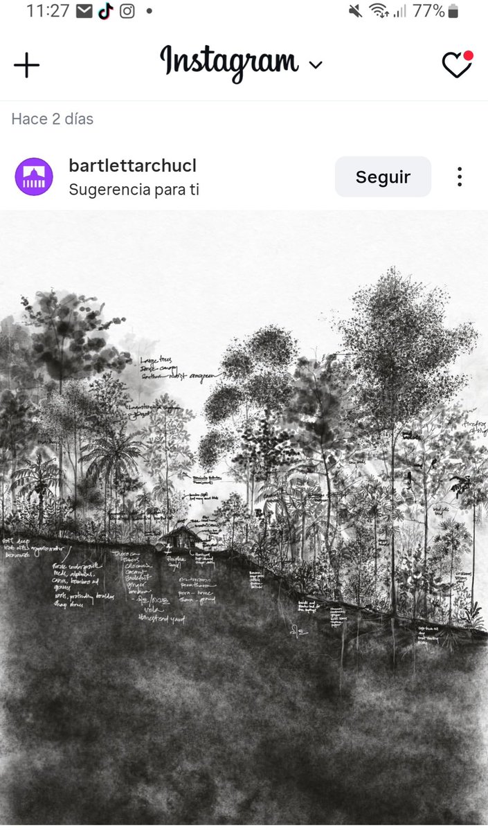 Germán Ignacio ANDRADE tweet media