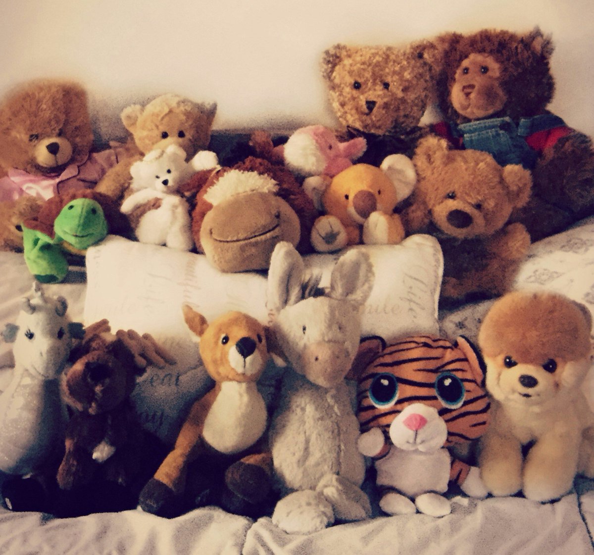 MemoirforMe's tweet photo. “I’ve always loved animals. I once used a straw to “perform” mouth-to-mouth resuscitation on my guinea pig when he was dying. It didn’t work so well. I’d also take my dog, my cat, and all of my stuffed animals into my room, lock the door, and then would proceed to teach them.” https://t.co/7syq7icigC