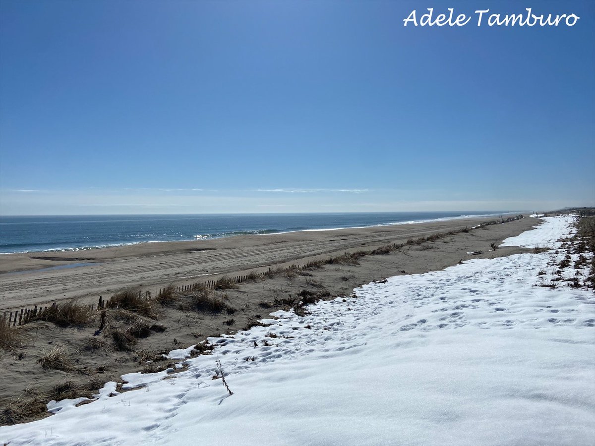 AdeleSellsNJ's tweet image. Morning, always love seeing snow on the beach. Jenks parking lot was packed at 10:30, cabin fever I guess. It felt so good to breathe in the Ocean air. Have a great day! ☀️ 🌊 ❄️ #grateful #beachlife #breakintheweather