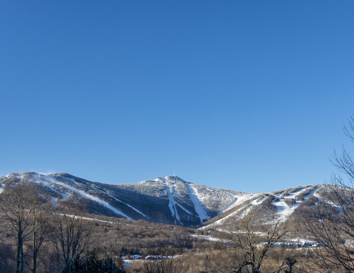 Snow Forecast.com tweet media