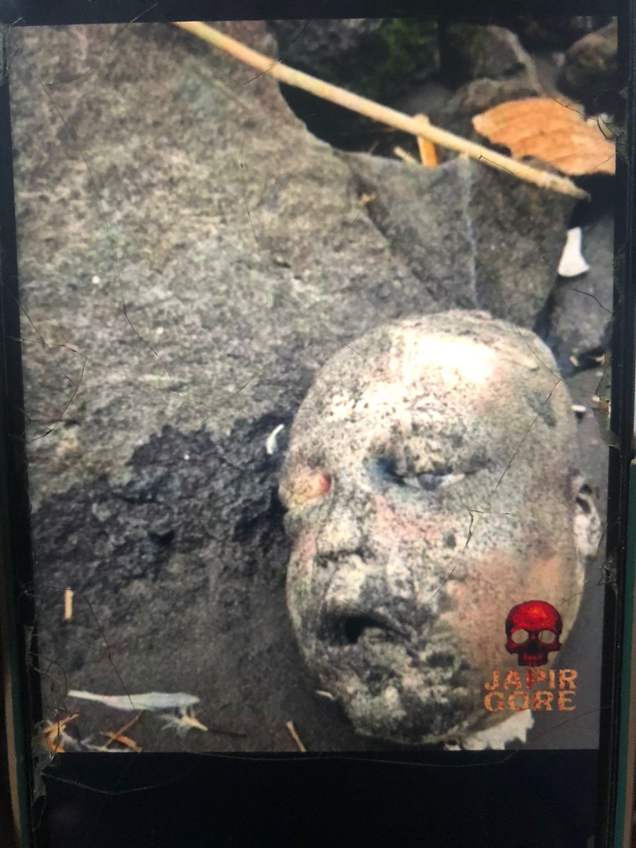 Alvialvialvi tweet media