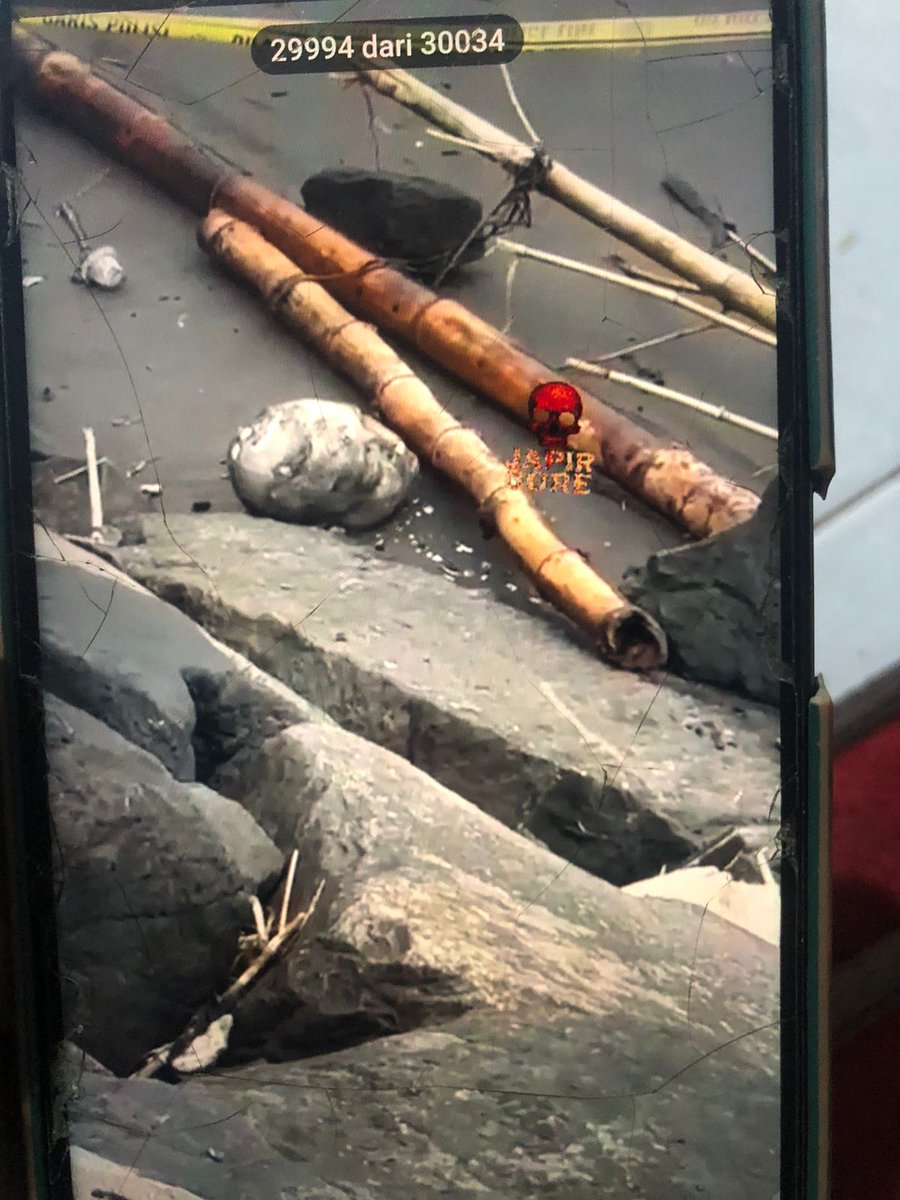 Alvialvialvi tweet media