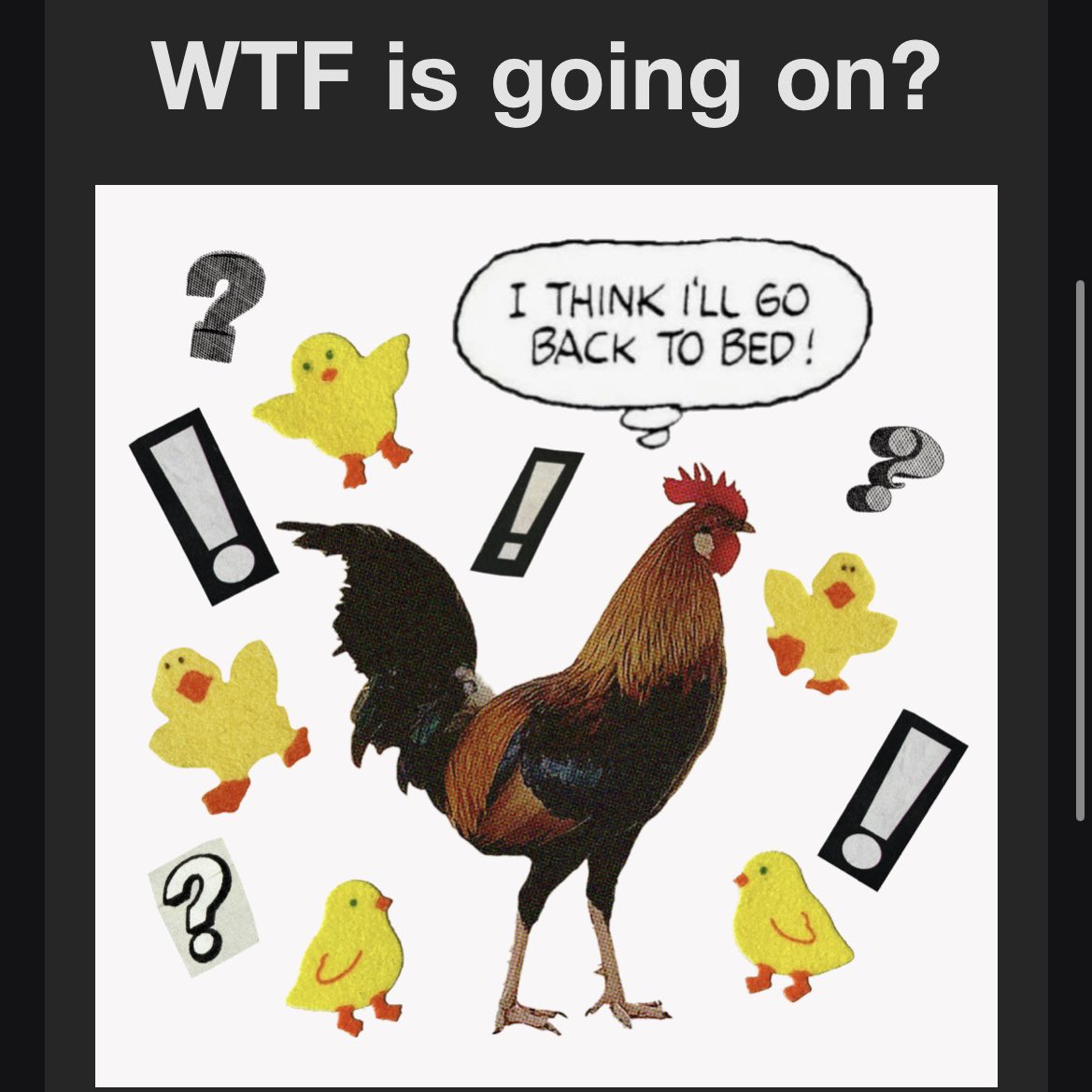 Erin O'Dowd tweet media