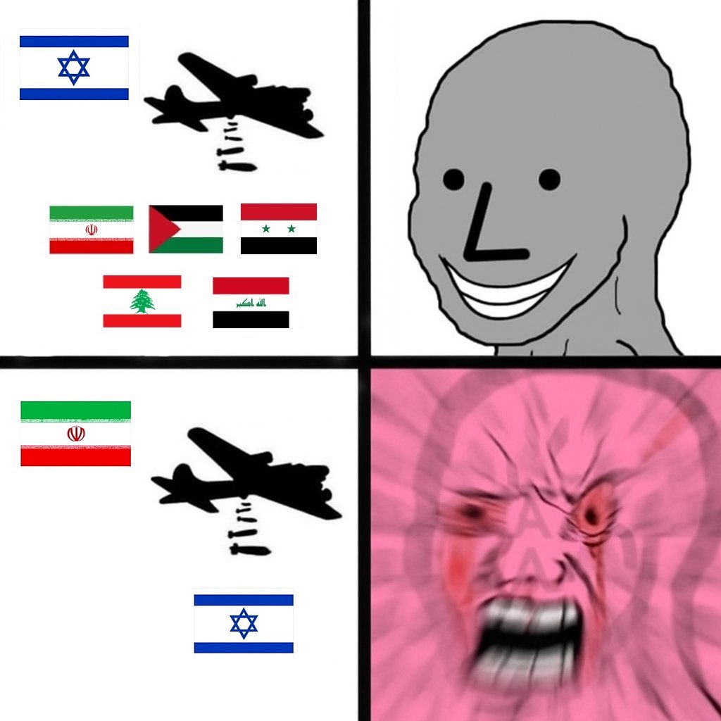 ekozones tweet media