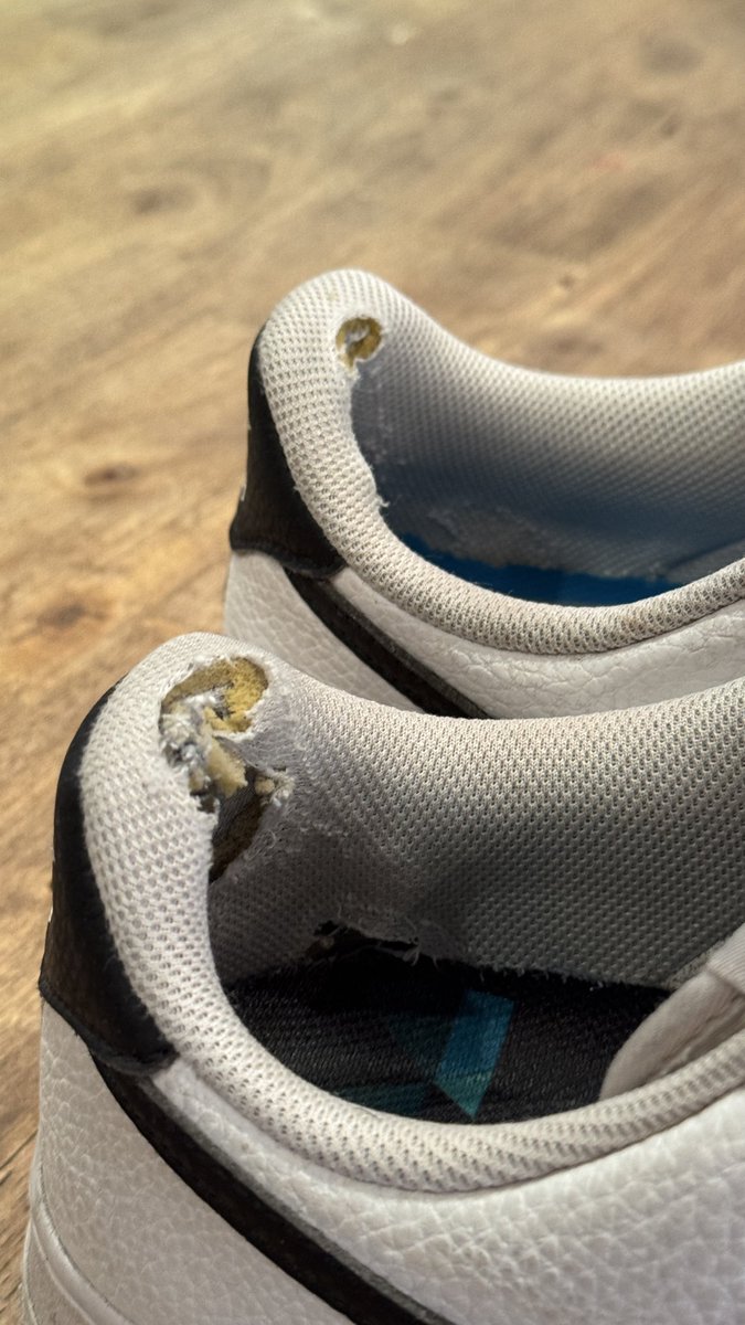 Daniel Hernandez tweet media