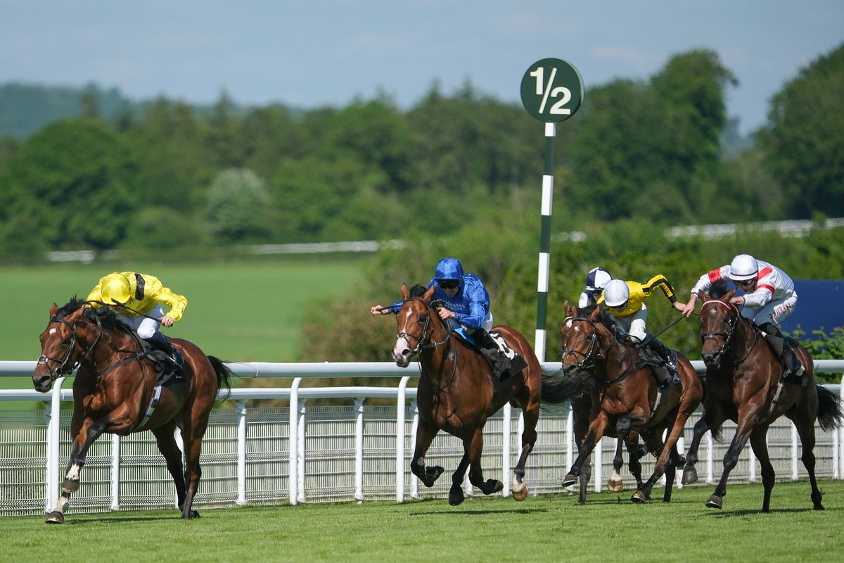 Racing Post Bloodstock tweet media