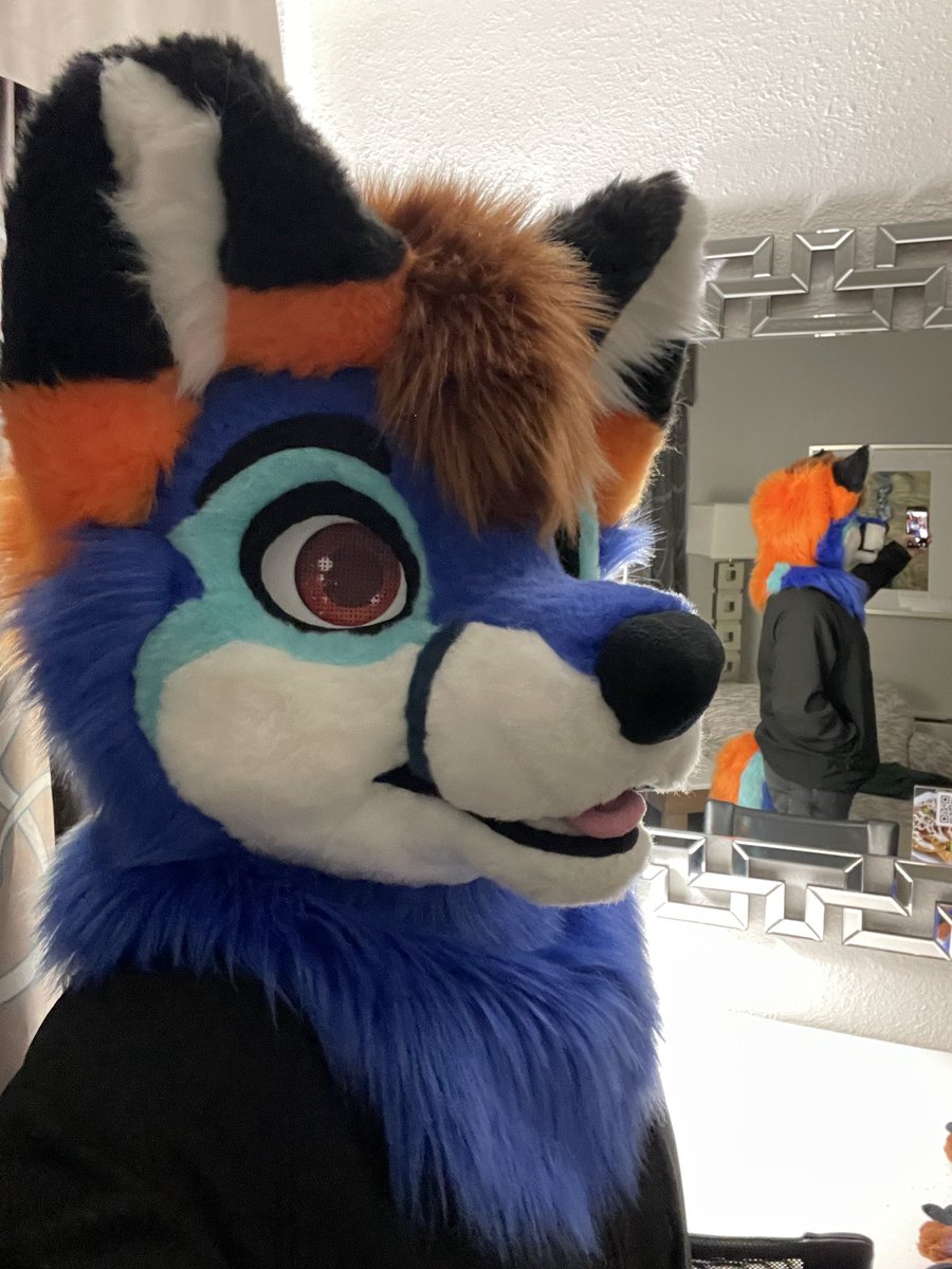 Firal Fox tweet media