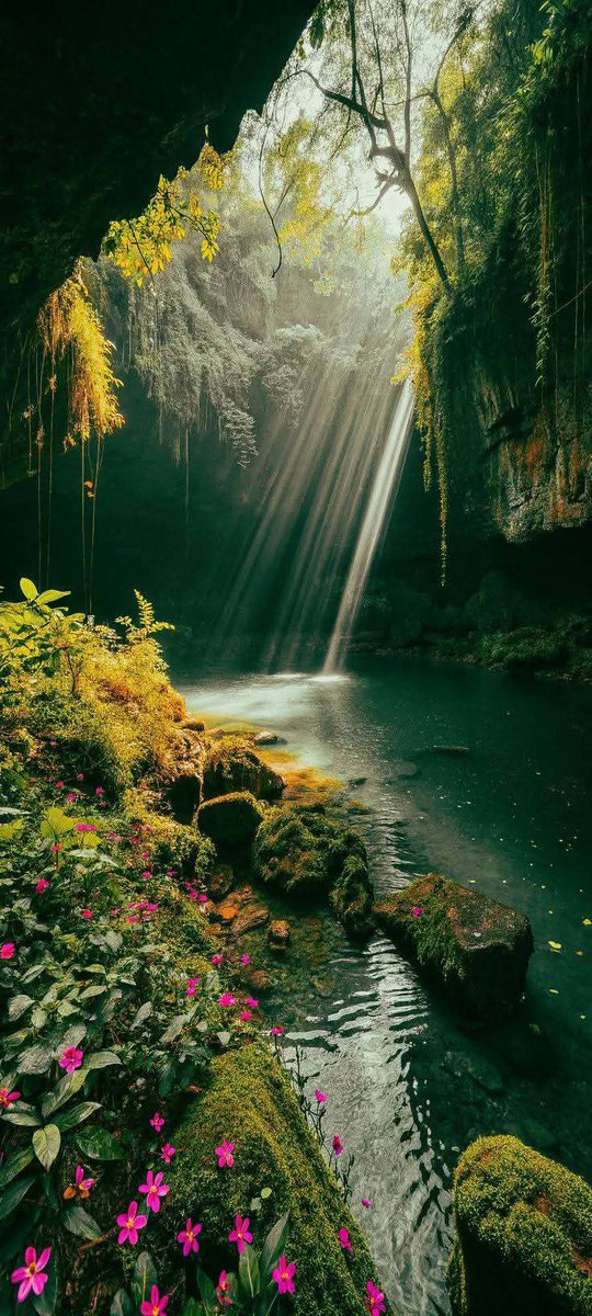 حسابات تستحق المتابعة 

<a href="/NabilKof/">نبيــــل</a> 

<a href="/magdy231970/">ابوادهم</a> 

<a href="/bekiryilmazoglu/">𝐁𝐞𝐤𝐢𝐫 𝐘ı𝐥𝐦𝐚𝐳𝐨𝐠̆𝐥𝐮</a> 

<a href="/MAlHumaidi2030/">Dr. Mohamed Al-Humaidi</a> 

<a href="/jmalqaydmhmdsl1/">جمال قايد صلاح | نمو حسابات X</a> 

<a href="/Alantably254001/">🦅♥️Ahmed Alantably</a>

 <a href="/h_abuali23/">Abu Ali🇵🇸</a> 

<a href="/abu_alez60/">أبو العز العامري</a> 

<a href="/KrbEdil/">ڪـــــــــــــــــــــــربِ دل</a> 

فالكم التوفيق يارب