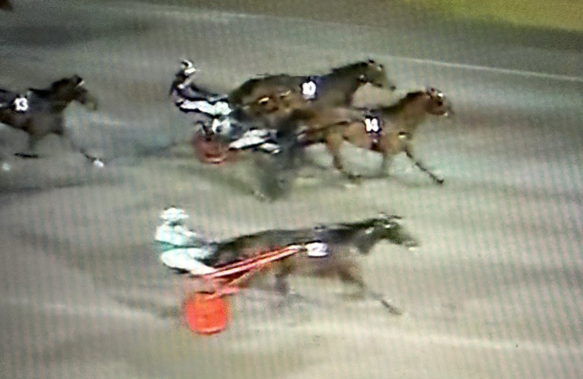 Srf Stable tweet media