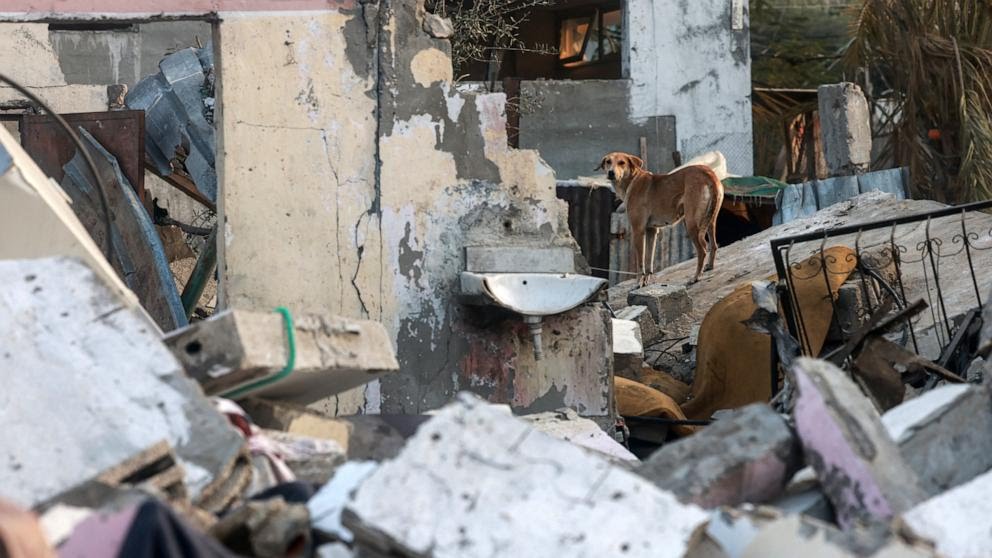 The Open Heart tweet media