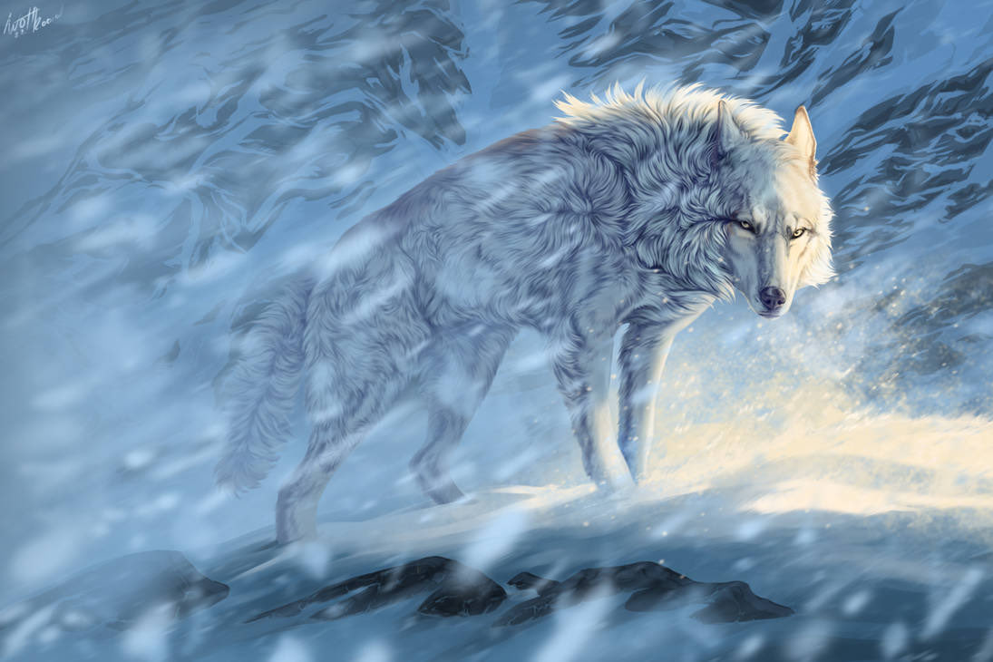 Thelonewolfcto (@theLoneWolfCTO) / Posts / X