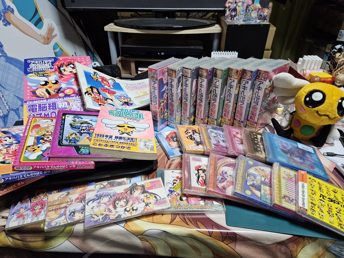 当時大好きだったんで色々買いまくってたなー そしてよりによってVHS