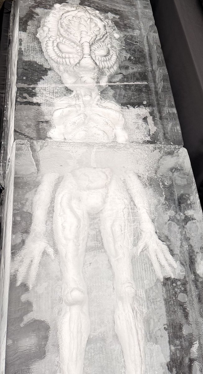 degencoder tweet media