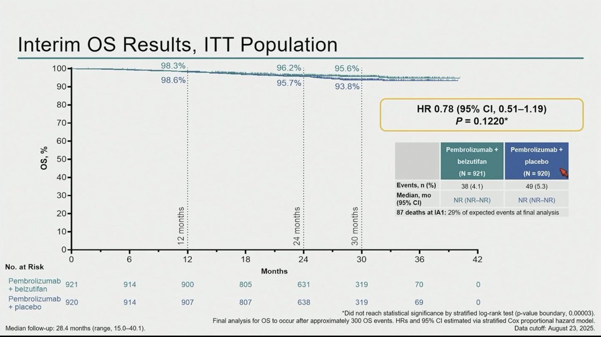 Tom Powles tweet media