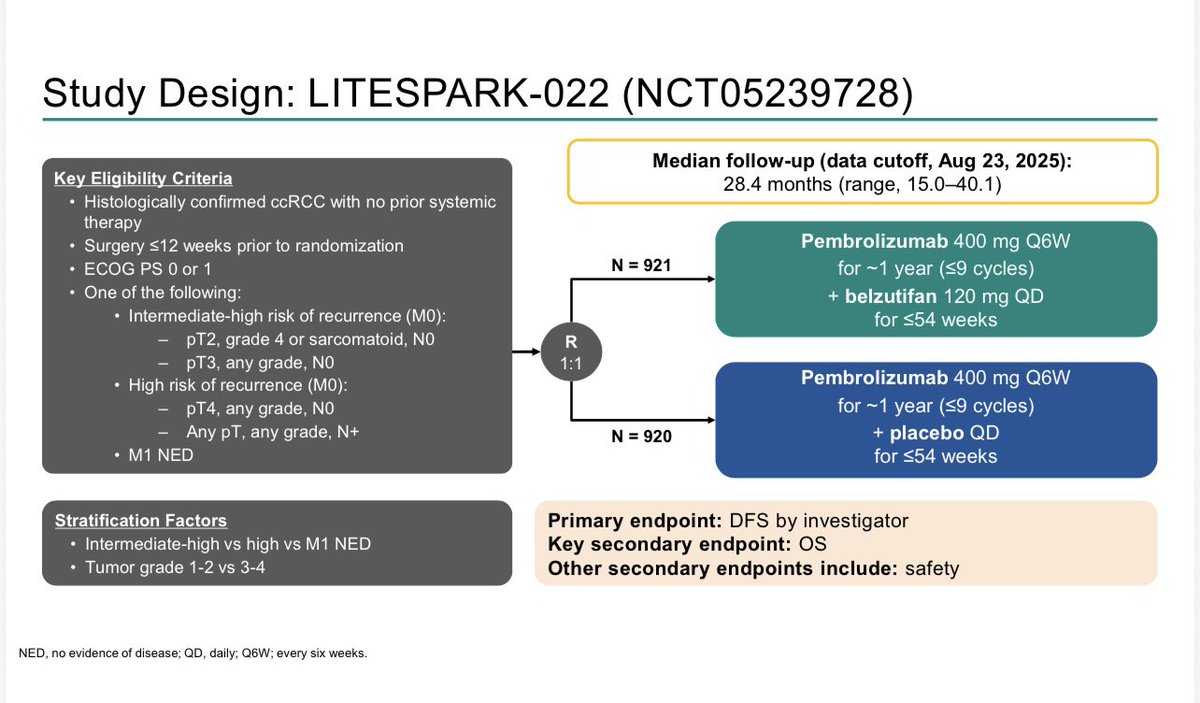 Tom Powles tweet media