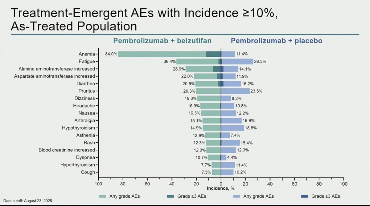 Tom Powles tweet media