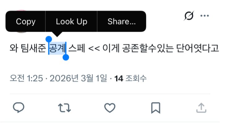 빵야 tweet media