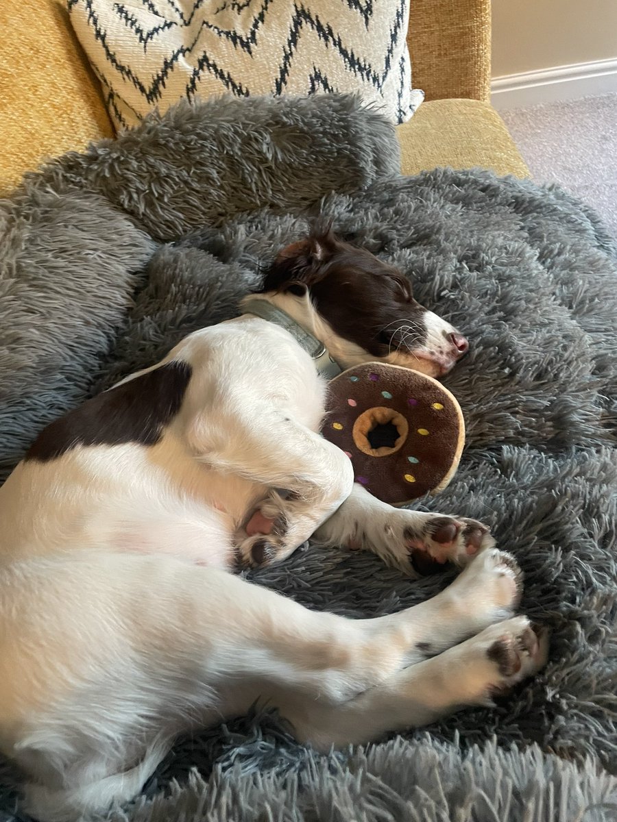 Jonny the Outlaw tweet media