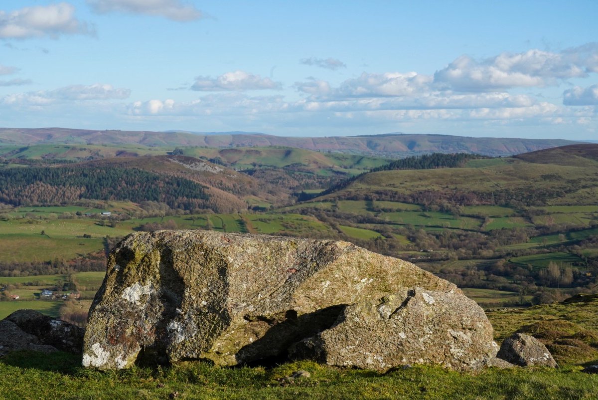 Matthew Halstead tweet media