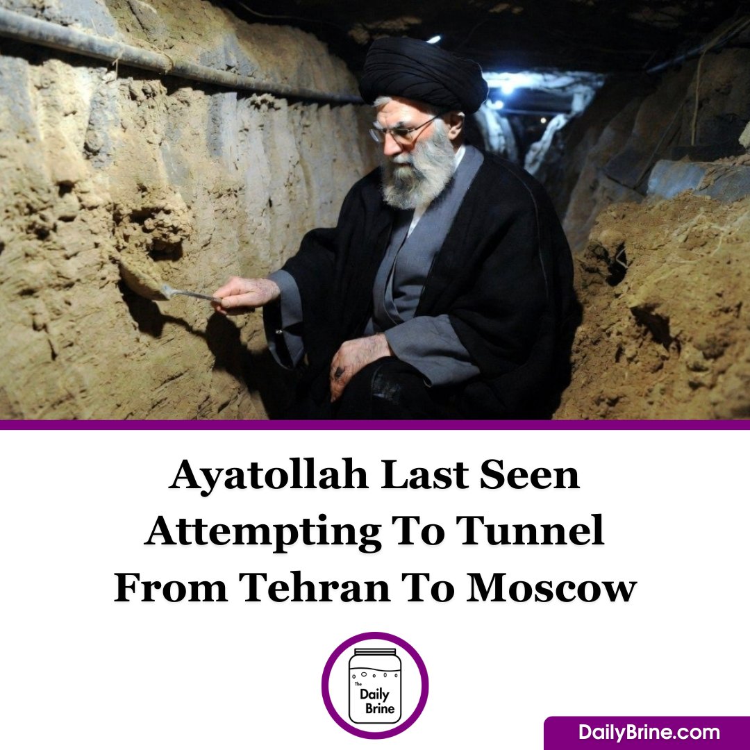 The Daily Brine tweet media