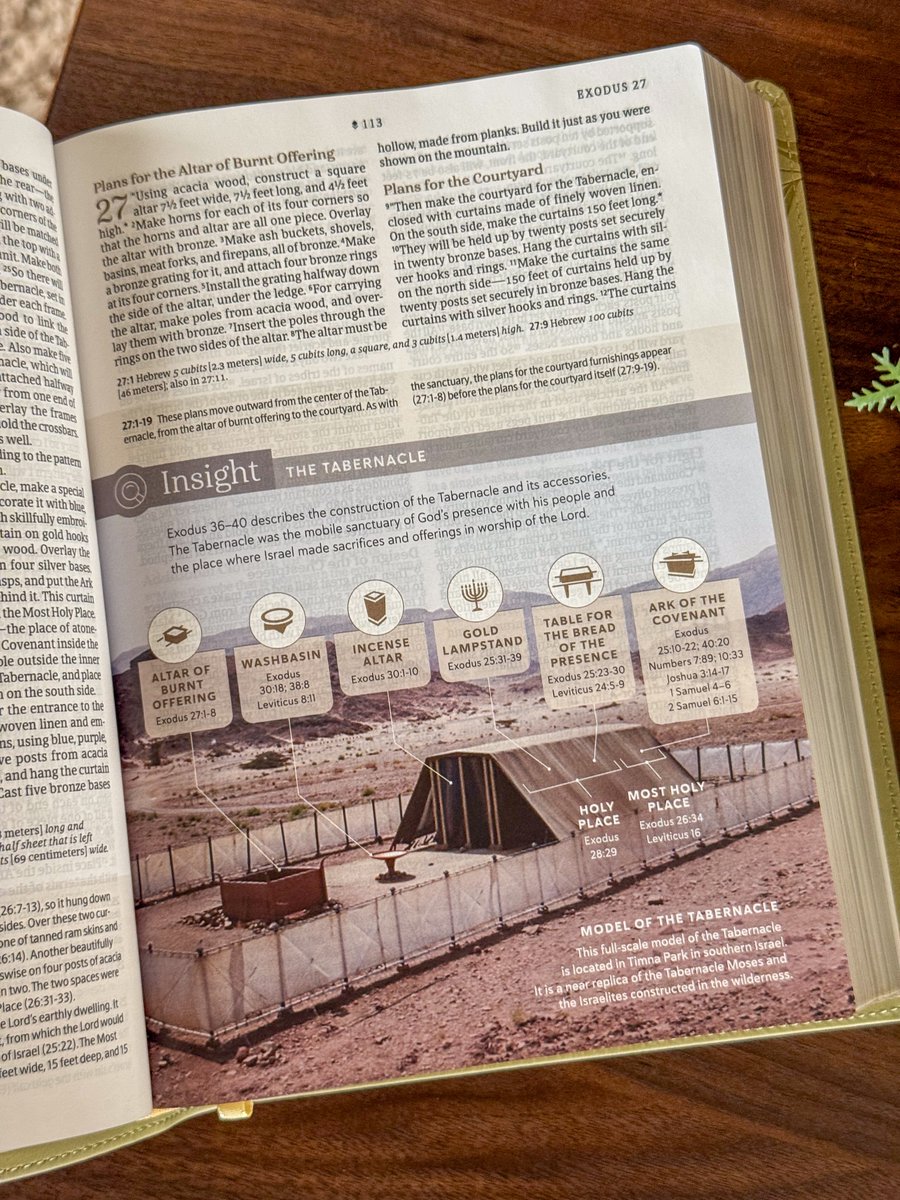 Deliciously Savvy tweet media