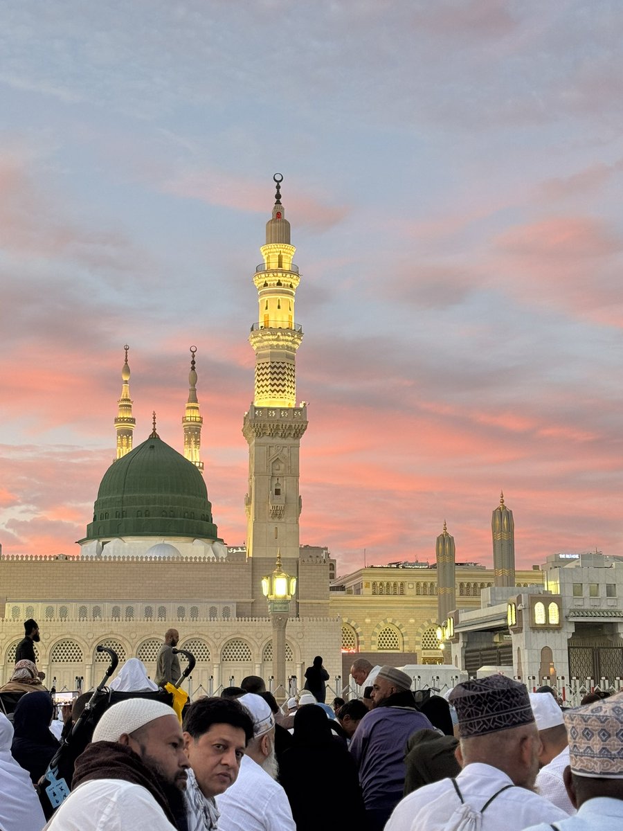 Mini_Tradez tweet media