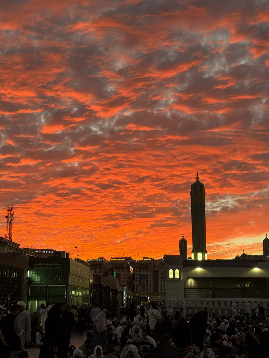 Mini_Tradez tweet media