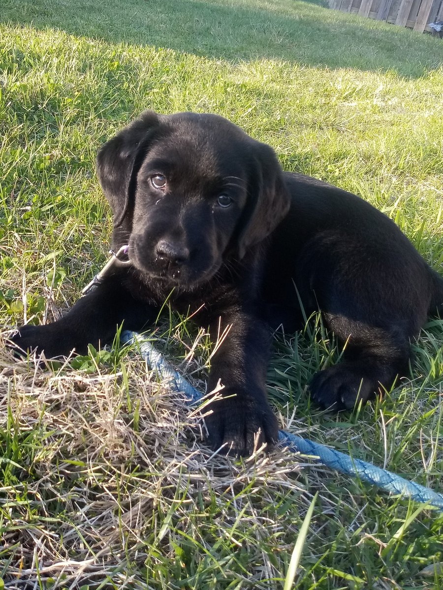 Chris Martz tweet media