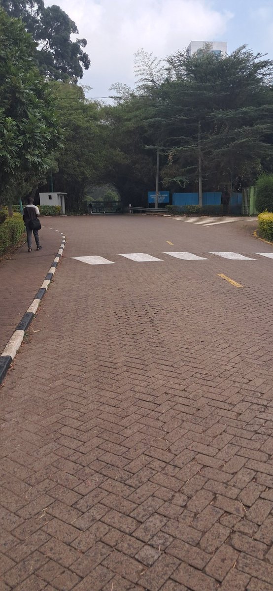 Guru_Mdv's tweet photo. Chiromo Campus⛓️ https://t.co/8ySChIKtSZ