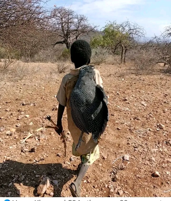 Scarface tweet media