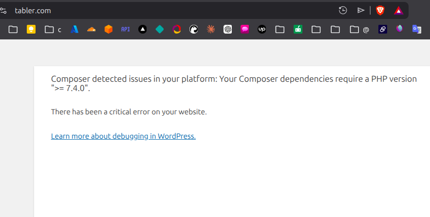 Zubair Ibn Zamir tweet media