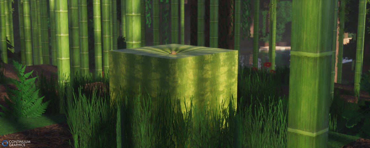 Continuum Graphics LLC. tweet media