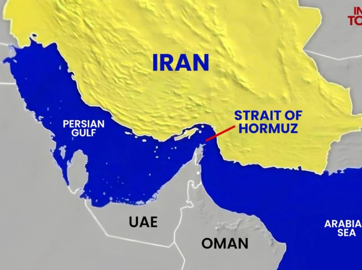 Conservative Brief tweet media