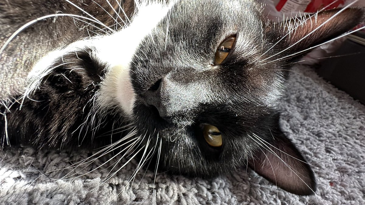 Genderbend Juno tweet media